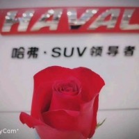 【臨沂產品/運營產品經理招聘】臨沂莒南縣產品經理招聘-店長直聘